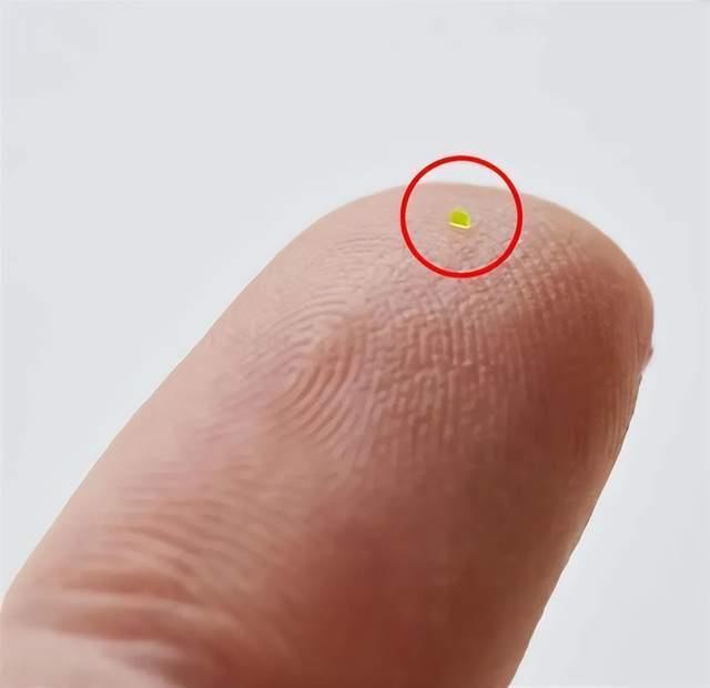 比一粒盐还小的手提包卖46万元！商家附赠一台显微镜，网友：别太离谱