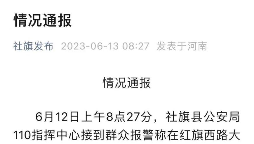 网传河南南阳26岁妈妈带两娃跳河，官方通报：女子已离世，孩子获救