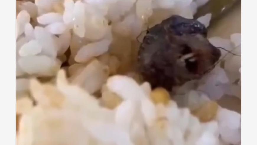 周末谈丨把食堂办好很重要