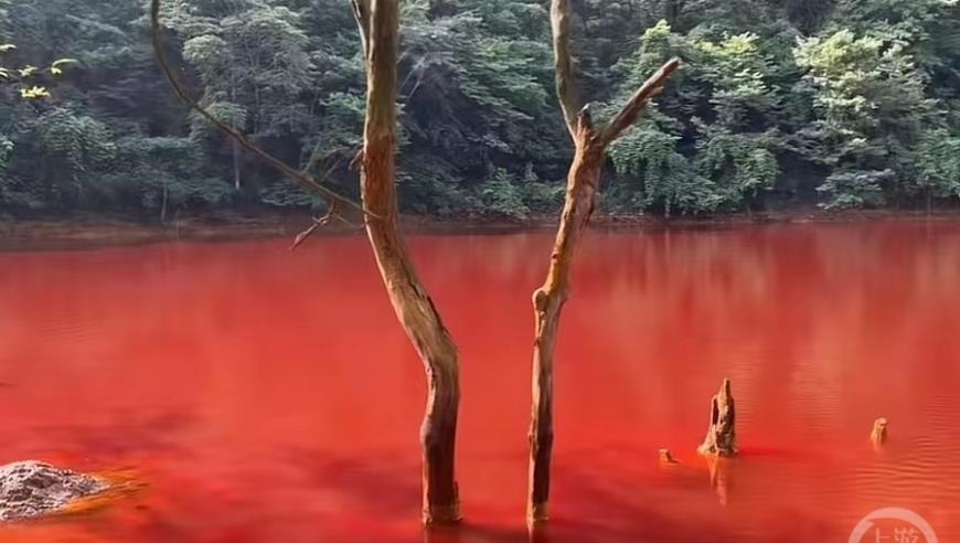 女子花3000元做双眼皮手术后不满意效果，起诉至法院要求枪毙主治医生