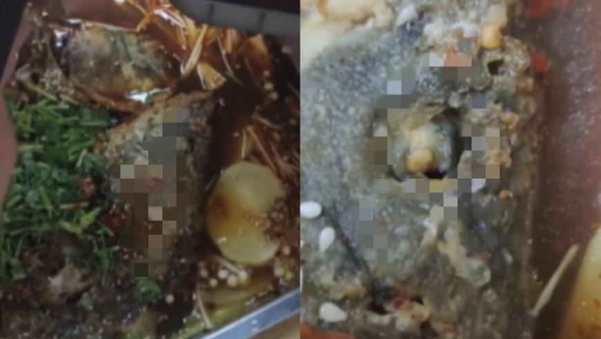 拜登儿子认罪，特朗普嘲讽：腐败的司法部只开了张交通罚单