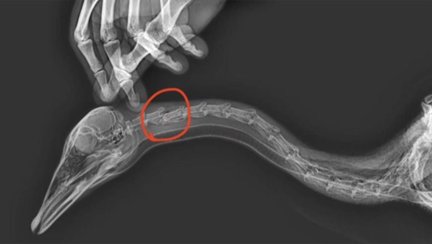 拜登莫迪闭门会谈后发表联合声明，外媒解读：似乎针对中俄