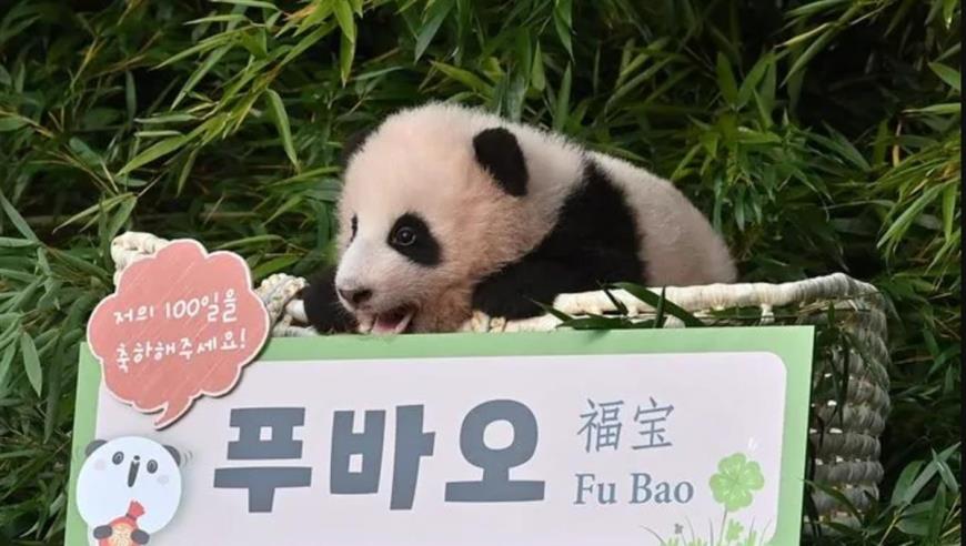 79个观众，首日票房仅3982元，端午档最惨新片诞生了