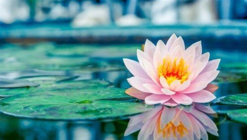 剖宫产时主刀医生把孩子大腿掰骨折却不告知家属？院方：医生已停职