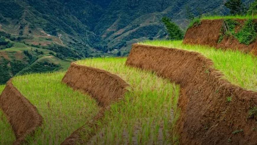 创始人被控“号召叛乱”，俄非官方武装“瓦格纳”是怎样的存在？