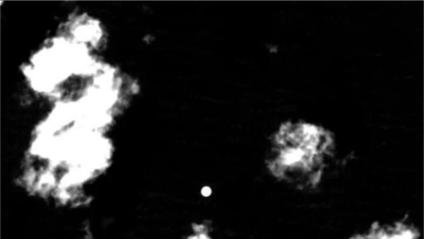 江苏省副省长王晖调任住建部党组成员