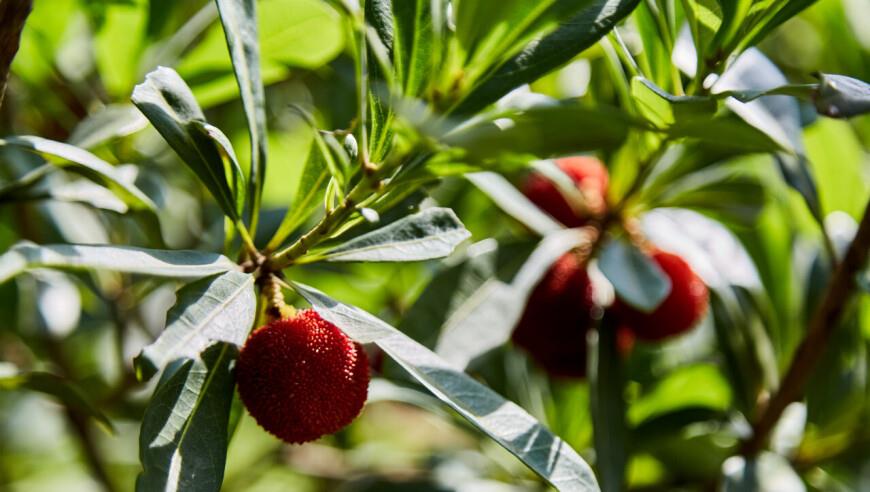 千亿私募老总被带走，22年证监会履历瞩目，中纪委发声严查政商“旋转门”