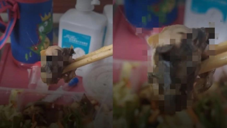 中国男篮归化突破性进展：李凯尔抵达上海 朝球迷微笑挥手示意