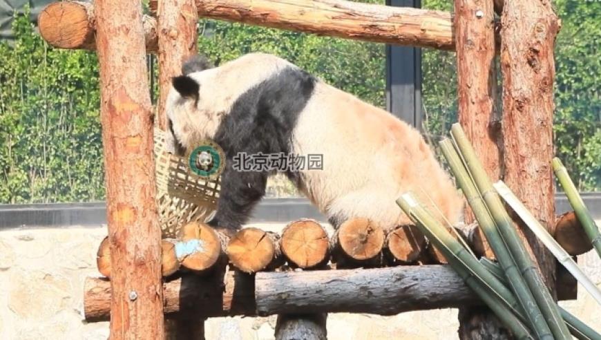 浙江金华女生考入清华大学，父母凉菜摊连打三天8.8折