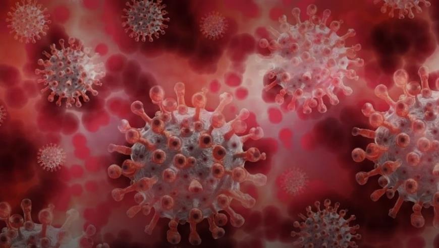 特朗普谈“瓦格纳事件”与俄罗斯局势：美国推动俄乌谈判的时机已到