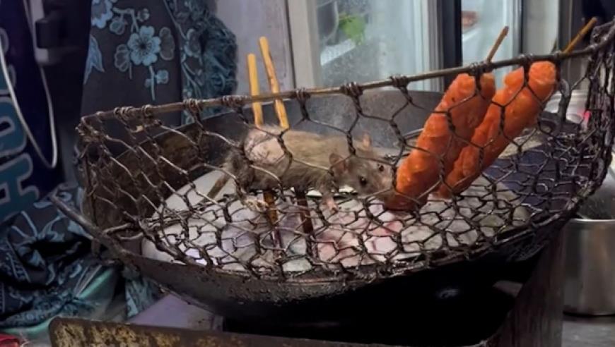 重磅！首个完整的人类胚胎模型已活到14天，相关政策法规必须快速追上