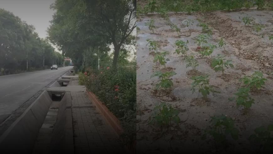 谭雅玲：美元指数上涨导致人民币贬值加剧，警惕汇率大起大落