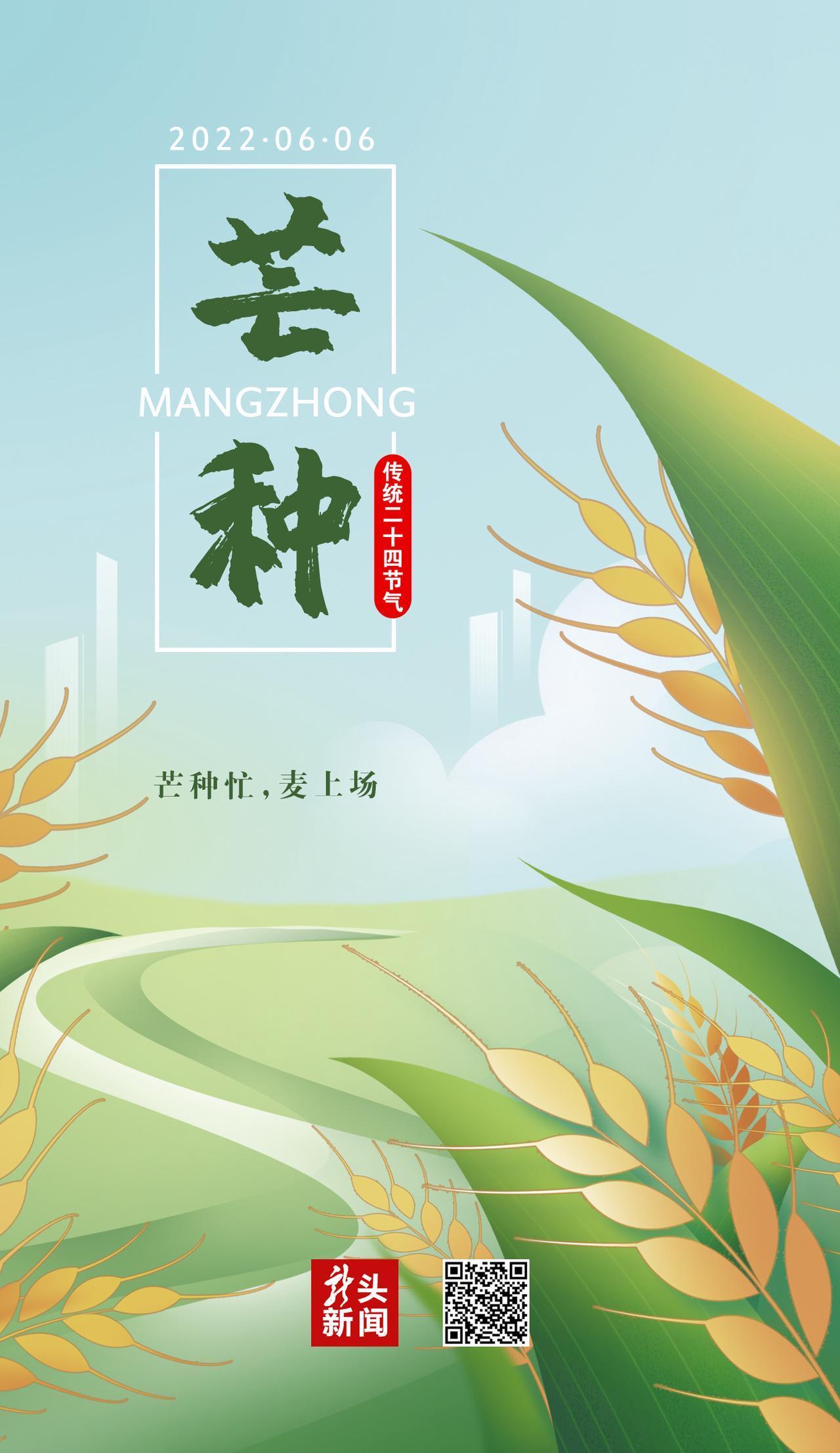 芒种的“芒”指的是什么,究竟是怎么一回事?