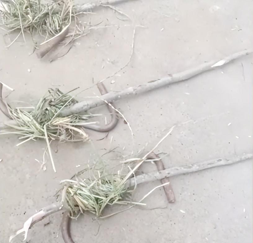 安徽有人在麦田插钢筋损坏收割机,究竟是怎么一回事?