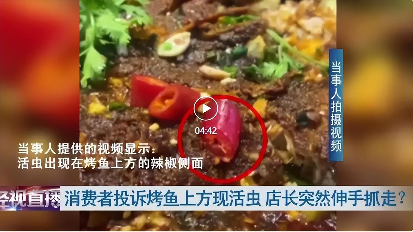 食堂烤鱼被指现蛆虫,究竟是怎么一回事?