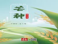 芒种的“芒”指的是什么,究竟是怎么一回事?