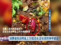 食堂烤鱼被指现蛆虫,究竟是怎么一回事?