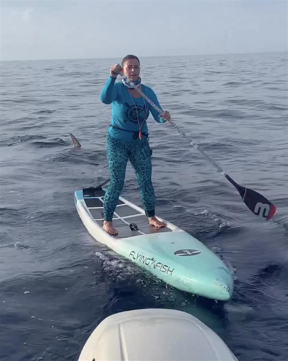 美国一女子桨板比赛中途遭鲨鱼“跟踪”，完赛后看视频才倒吸一口凉气