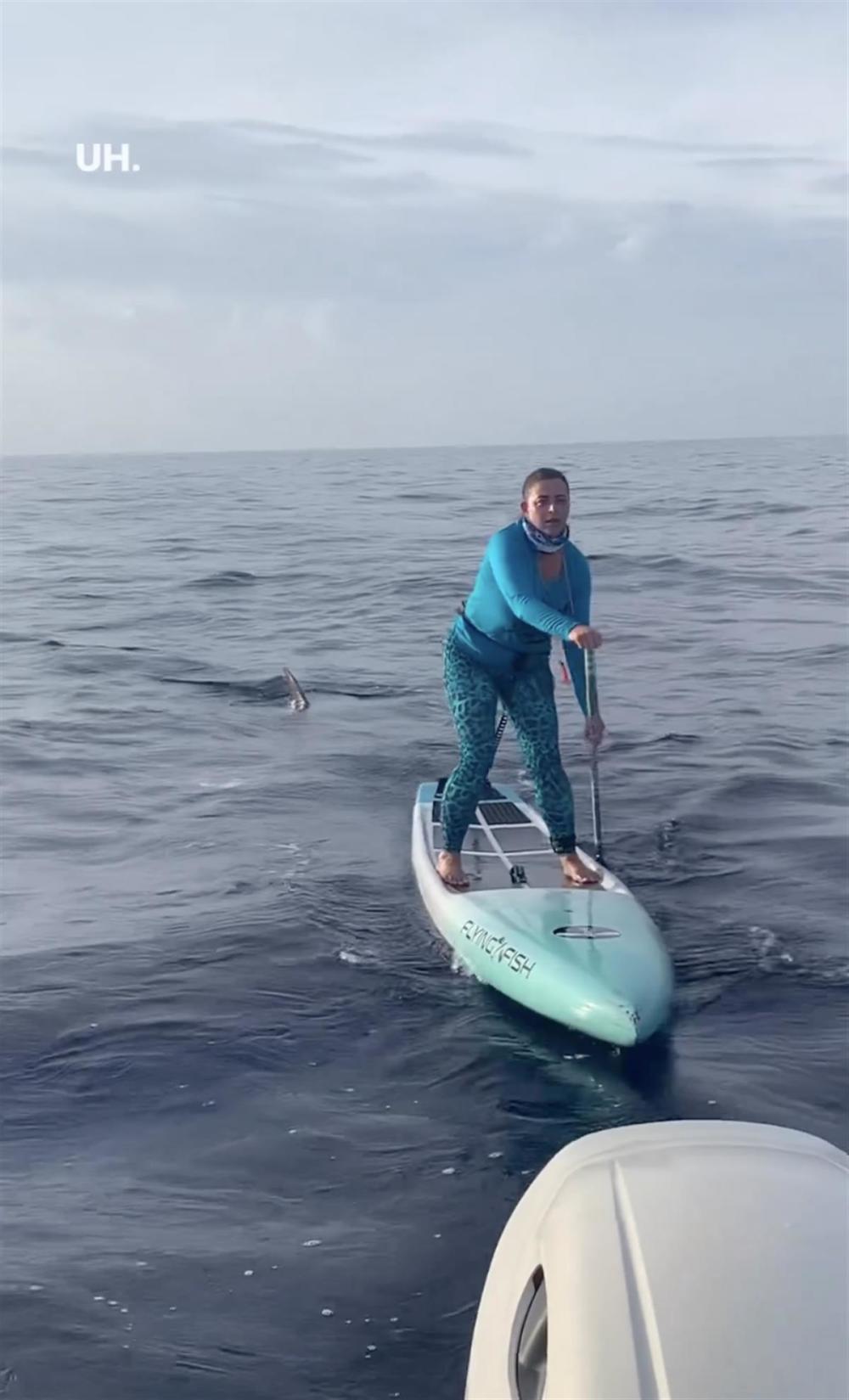 美国一女子桨板比赛中途遭鲨鱼“跟踪”，完赛后看视频才倒吸一口凉气