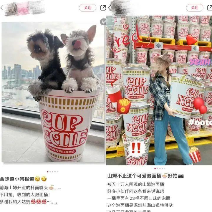 “开售15分钟卖完，一天仅50个名额”！深圳疯抢网红泡面桶，已被炒至1999元