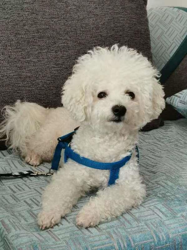 24岁不上班，她回家当“全职女儿”：每天给全家7口人做晚饭