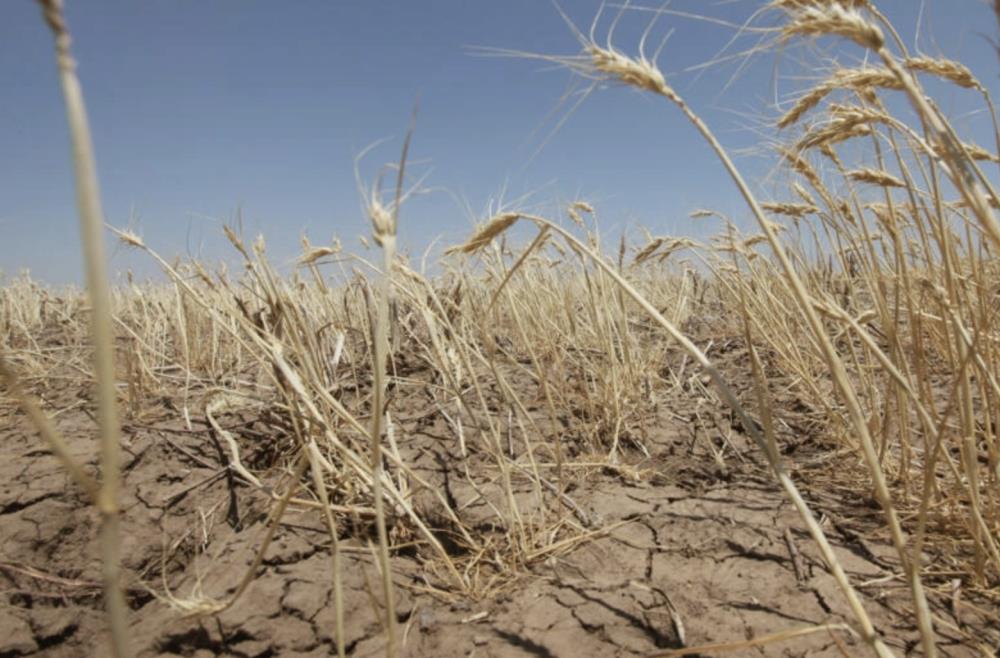 7月或成12万年来最热月，“全球最冷村庄”热到32℃