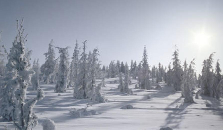 7月或成12万年来最热月，“全球最冷村庄”热到32℃