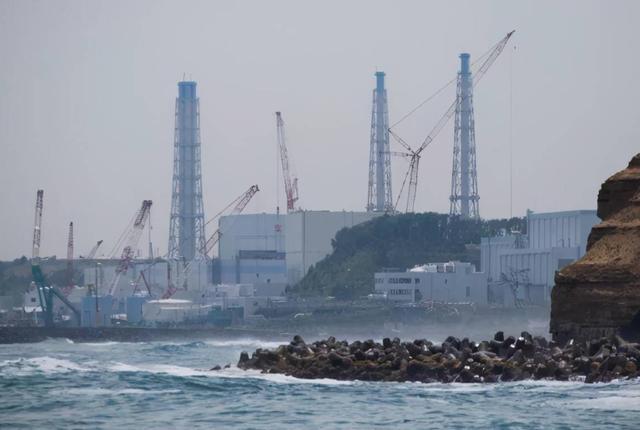 韩国在野党议员面斥格罗西!IAEA从一开始就未遵循中立客观原则