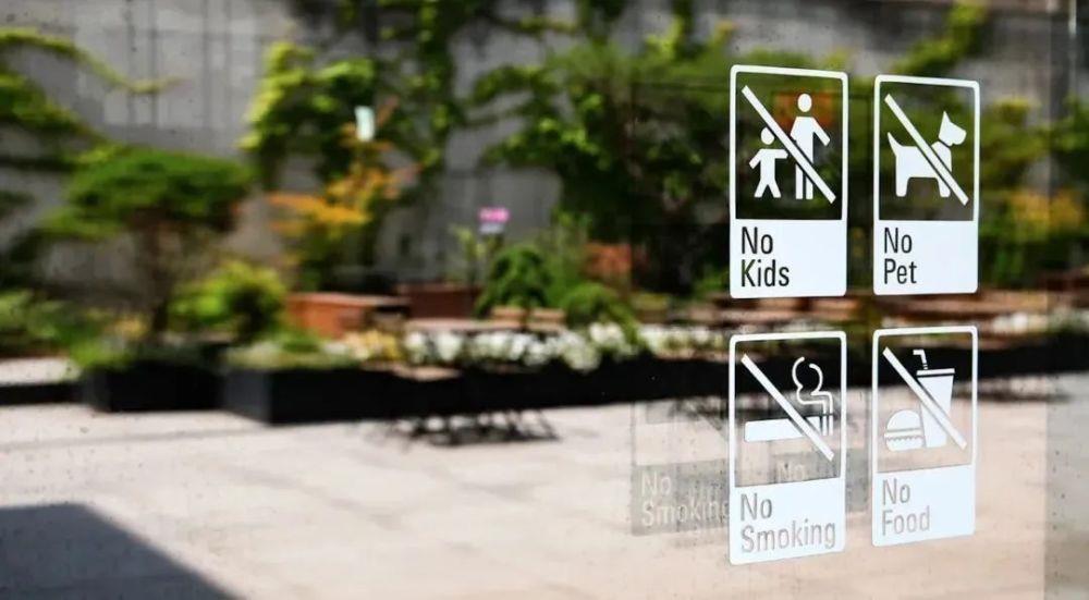 不生孩子的年轻人,越来越“厌童”了