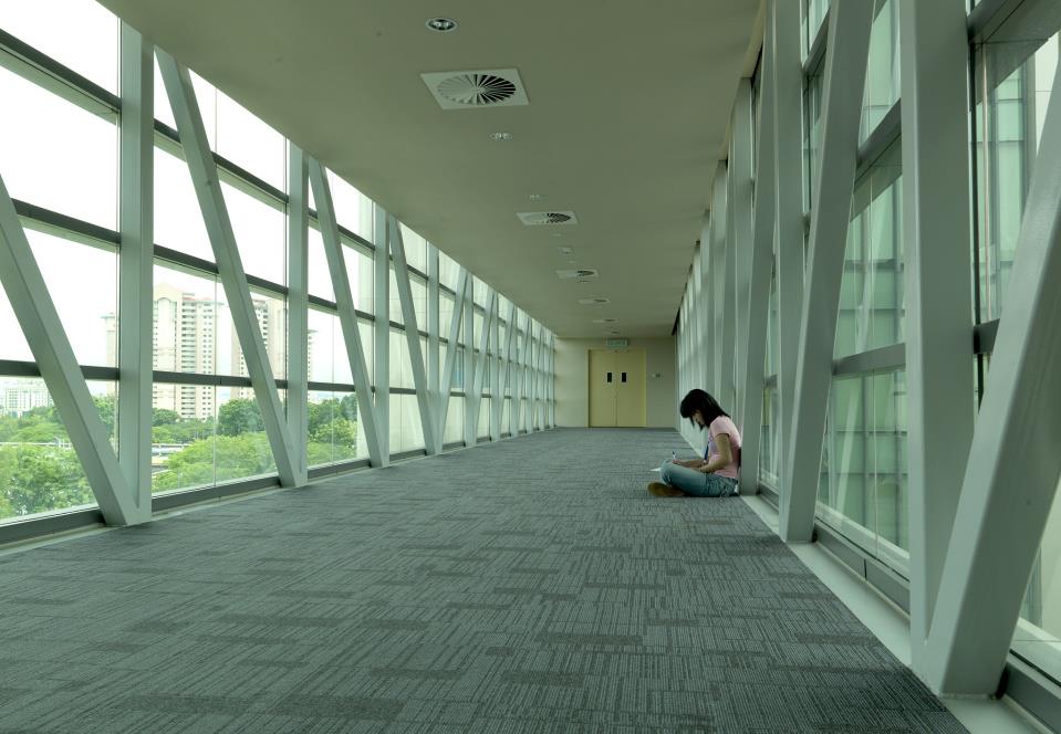 留学到一半家庭破产，没毕业就断供：有人大二退学回国参加高考