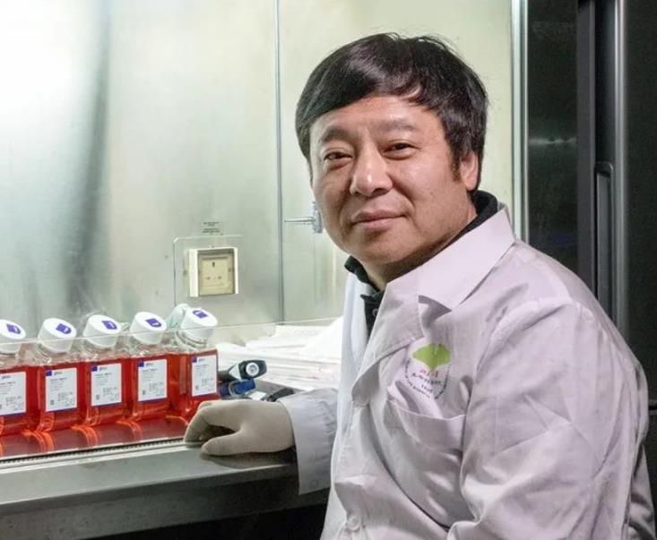 1型糖尿病有望被彻底治愈!首例化学分化胰岛细胞移植手术成功