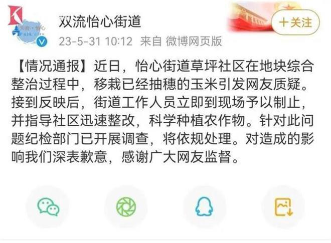 中纪委通报成都怡心广场移栽玉米苗“形式主义”事件：多名相关责任人受到处理