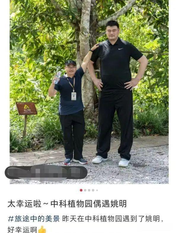 网友晒图：偶遇姚明一家出游！画面太喜感，“像极了老师和小学生合影”