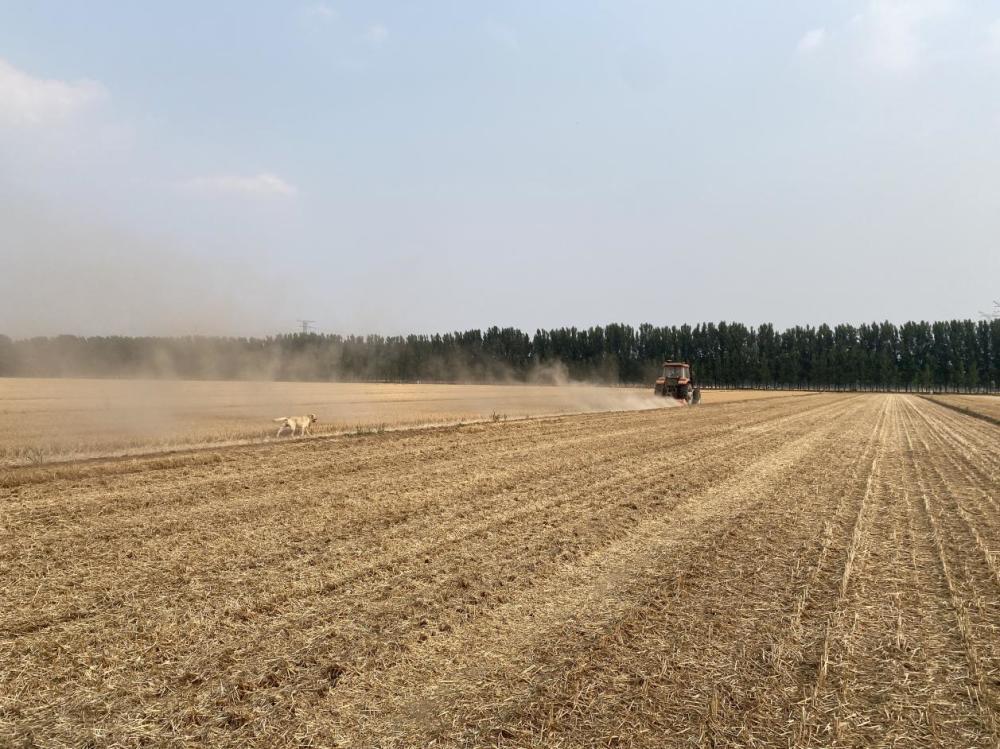 一个“地主”承包土地十年：“挣的钱全投进去了”