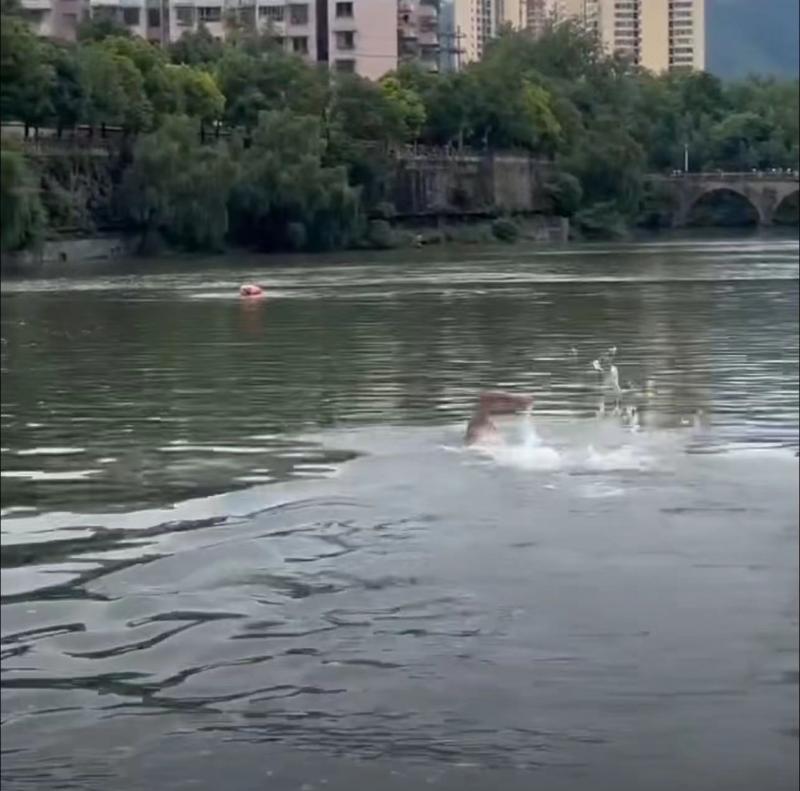 46岁“中国蛙王”曾启亮跳河救起落水者 对话当事人:半月内两次救人 能救成功很欣慰