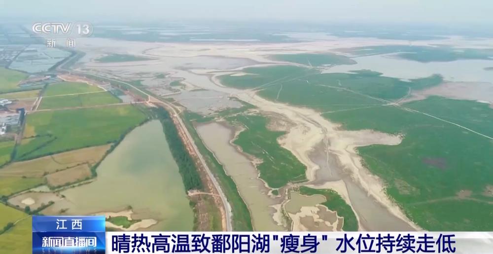 晴热高温致鄱阳湖“瘦身”,湖区水面面积十三天缩水超四分之一