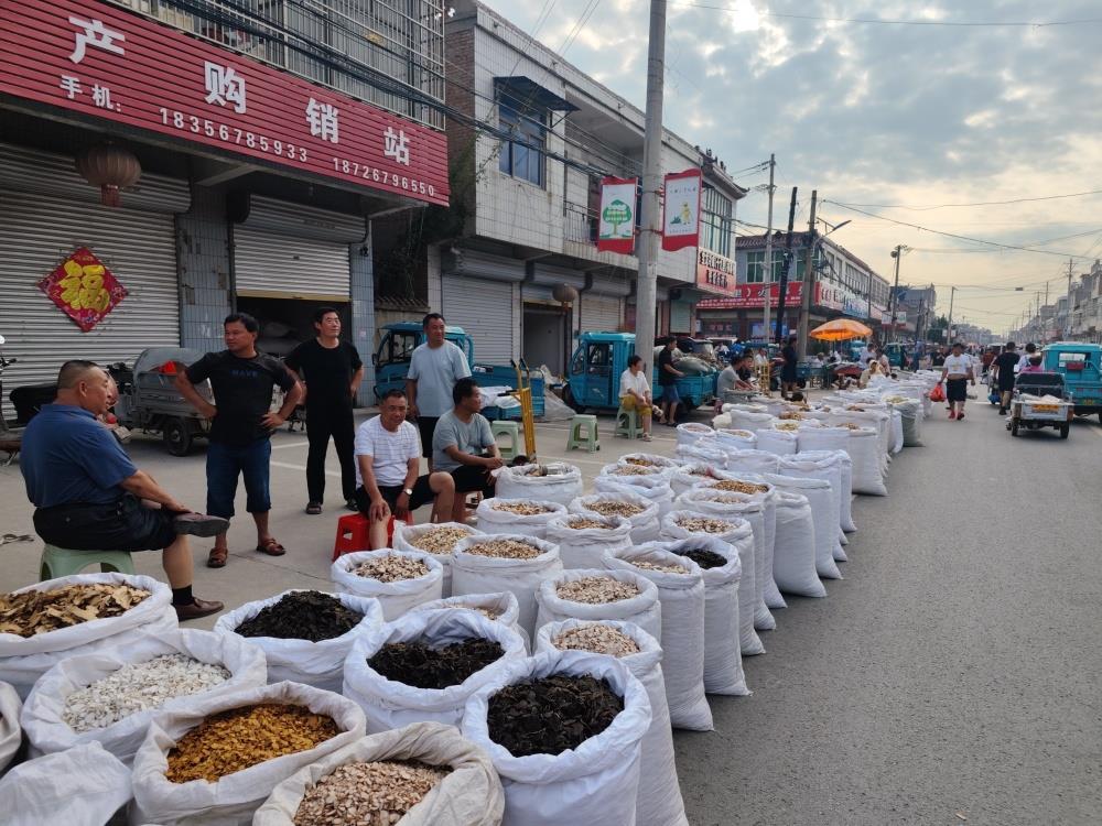 常见中药材价格“反季节暴涨”幕后：有人大肆囤货，多家冷库爆满