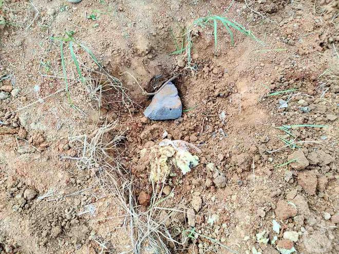 卫片执法发现农田被取土挖坑要求复垦,谁在作假:坑里填垃圾表面盖黄土