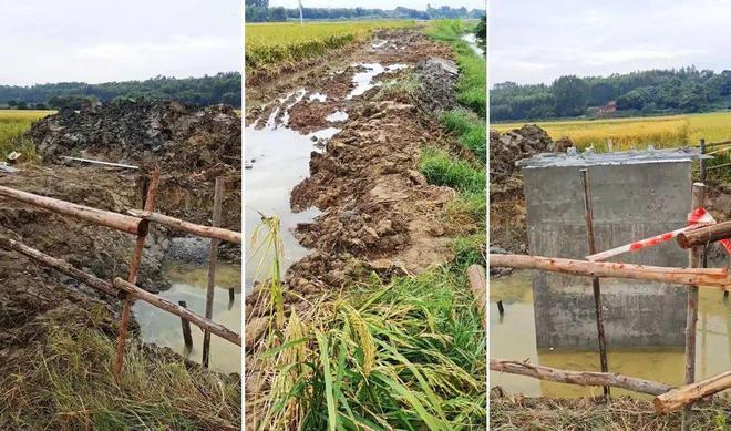 广东电网回应“电杆建在农田里”：立即成立联合调查组