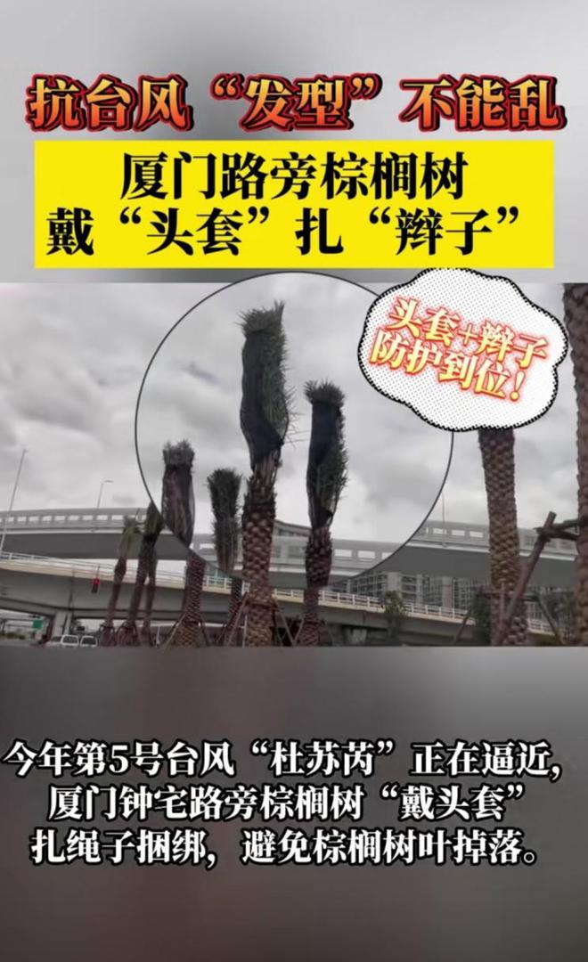 “杜苏芮”来袭，沿海居民防台风有多拼？空调拴铁链，大树扎辫子