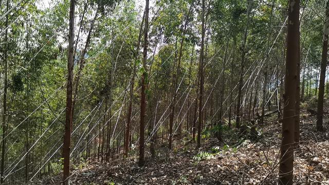 唐尚珺：高考15年，“我不希望出现下一个唐尚珺”