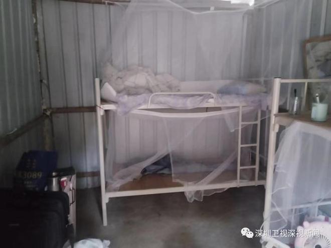 深圳一果农自家田间搭窝棚遭警告拆除?官方回应