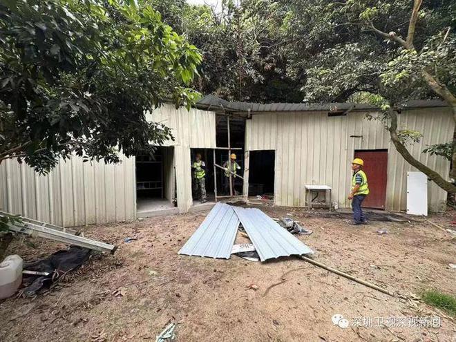 深圳一果农自家田间搭窝棚遭警告拆除?官方回应