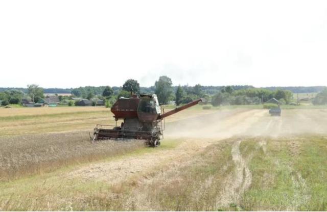西方若搞“粮食北约”，是要砸世界的饭碗 | 京酿馆