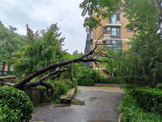 暴雨红警下的京津冀：雨已下了三天两夜，局地雨量达特大暴雨级