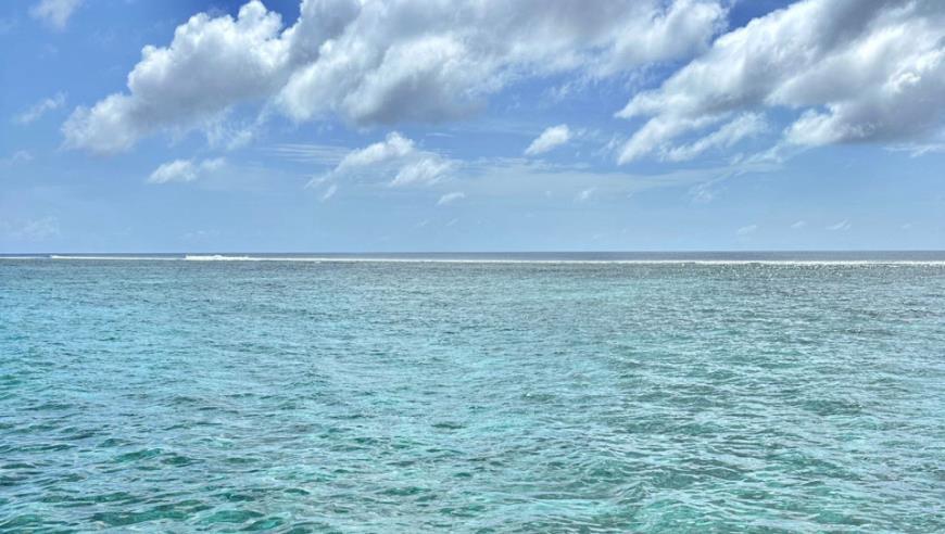 提醒在法中国公民加强安全防范