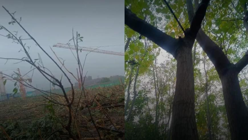 内蒙古赤峰、河北承德出现特旱，部分春播作物幼苗生长受阻