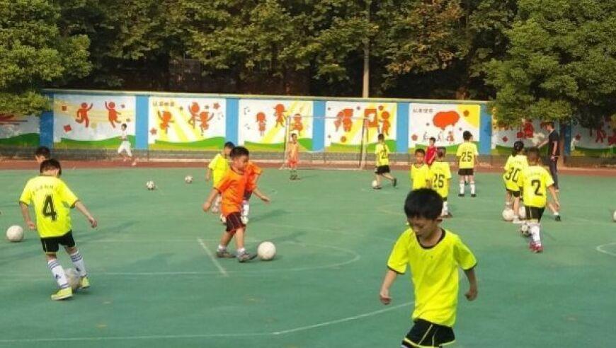 “陈思诚模式”为何叫座？