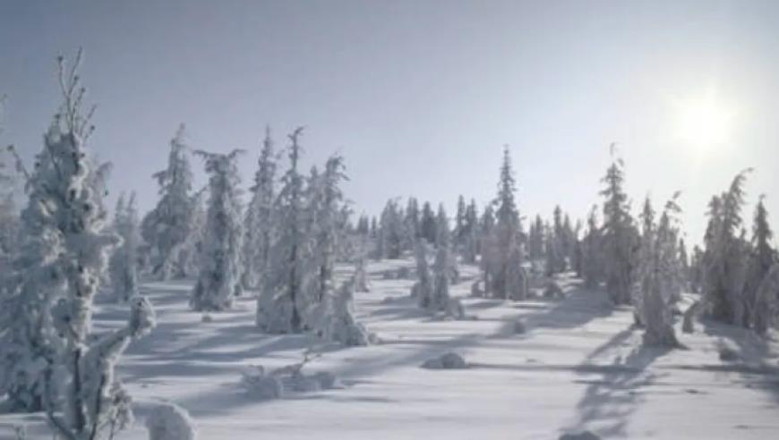 带给我们“好心情”的她，为何因抑郁离开……