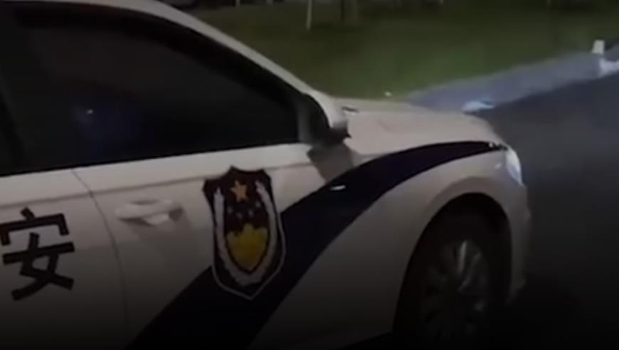 女子路遇幼狼乞食投喂食物引争议 专家：狼是猛兽有风险，动物生存自有法则不建议干预